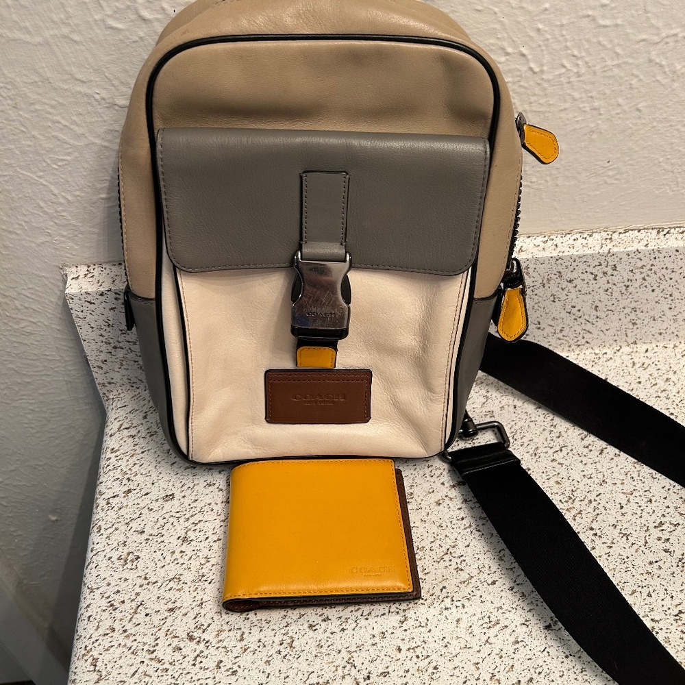 Coach Crossbody Colorblock Purse